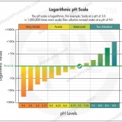 Logarithmic Scale